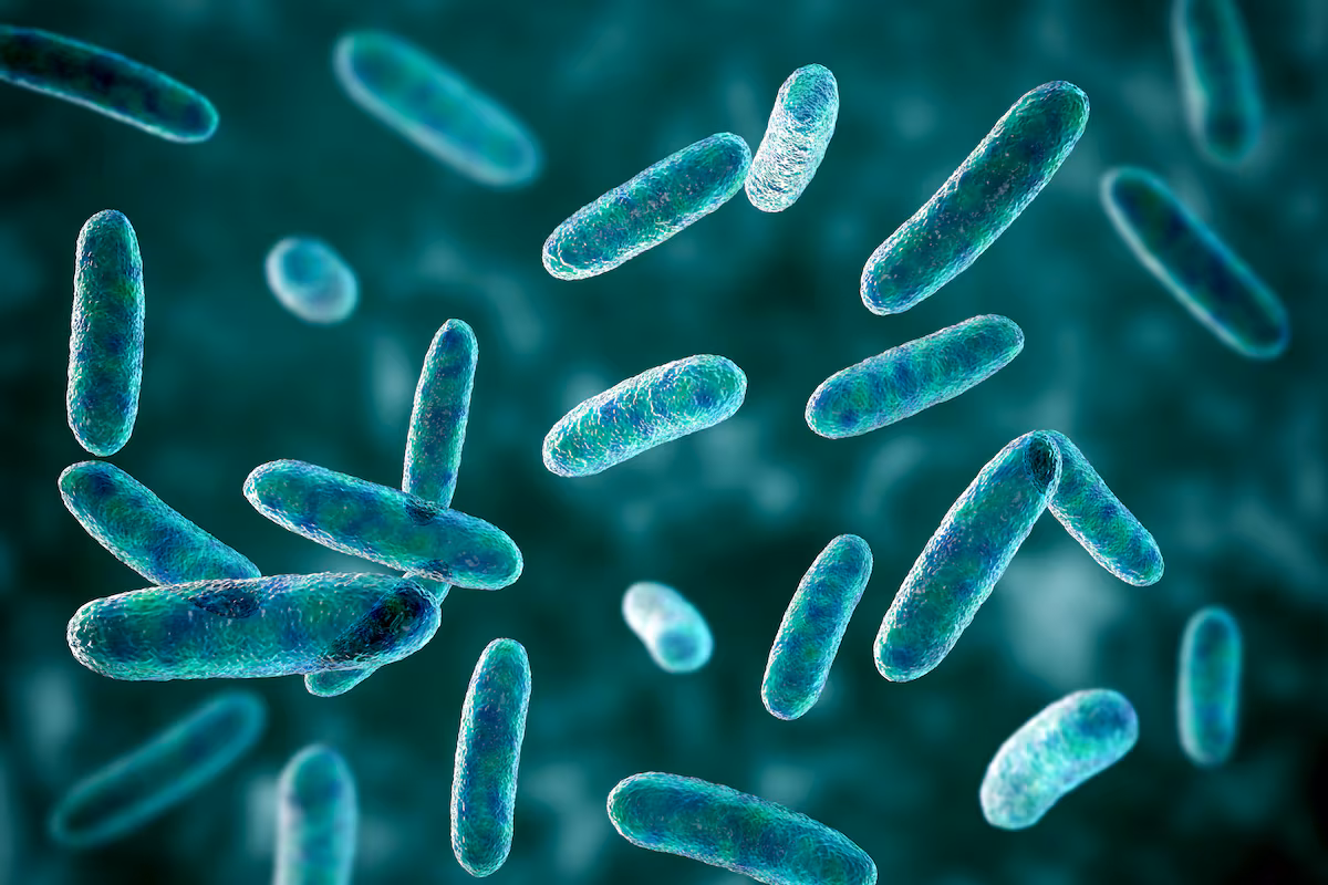 Botuliinitoksiini – maailman myrkyllisin aine, jota käytetään päivittäin