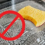 Keittiösieni roskikseen: ekologinen ja kestävä vaihtoehto astioiden puhdistukseen