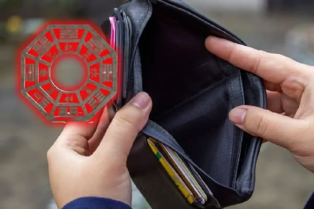 Houkuttele taloudellista runsautta tällä Feng Shui -rituaalilla: 13 aromaattisen kasvin lehteä