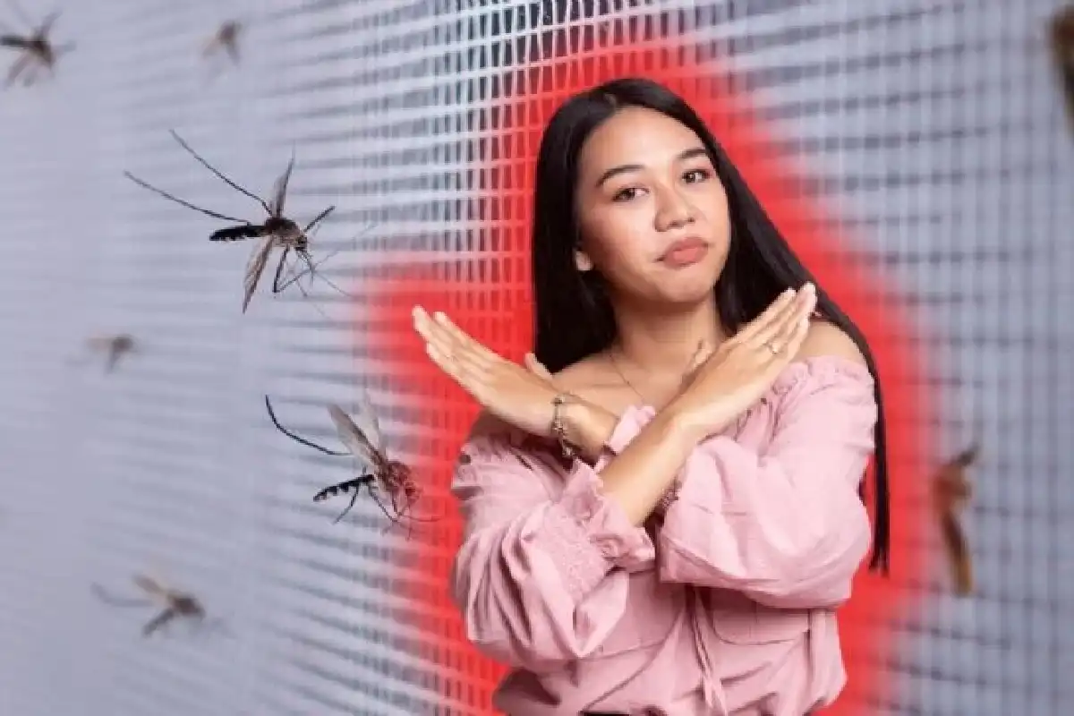 Hyttysverkko kotona: Tee oma suojasi viidellä yksinkertaisella esineellä