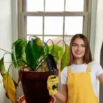 Kuinka elvyttää sateen vuoksi nuutunut kasvi viidessä yksinkertaisessa vaiheessa