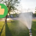 Puutarhurin salaisuus: Näin kastat nurmikon ja pidät sen vihreänä 365 päivää vuodessa