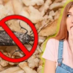 Poista kaappikoiperhoset yhdellä roiskeella tätä keittiön ainesosaa