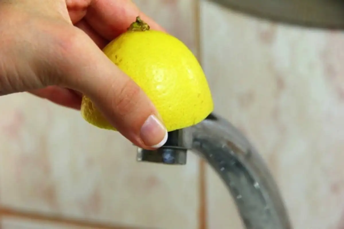 Vinkkejä sitruunan hyödyntämiseen: älä heitä sitä pois leikkaamisen jälkeen