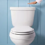 Suomalainen wc-kikka: Näin poistat hajut luonnollisesti