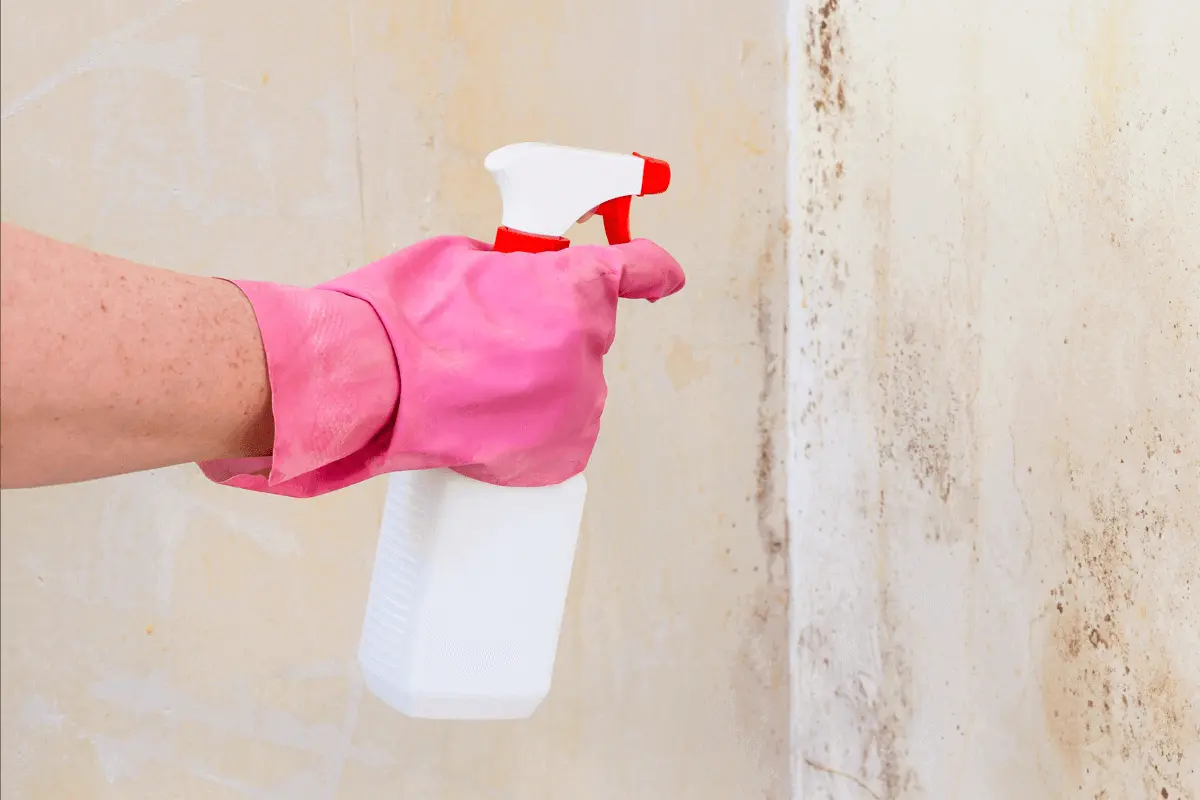 Kuinka poistaa rasvatahrat valkoisilta seiniltä yhdellä roiskeella tätä tehokasta keittiöainetta