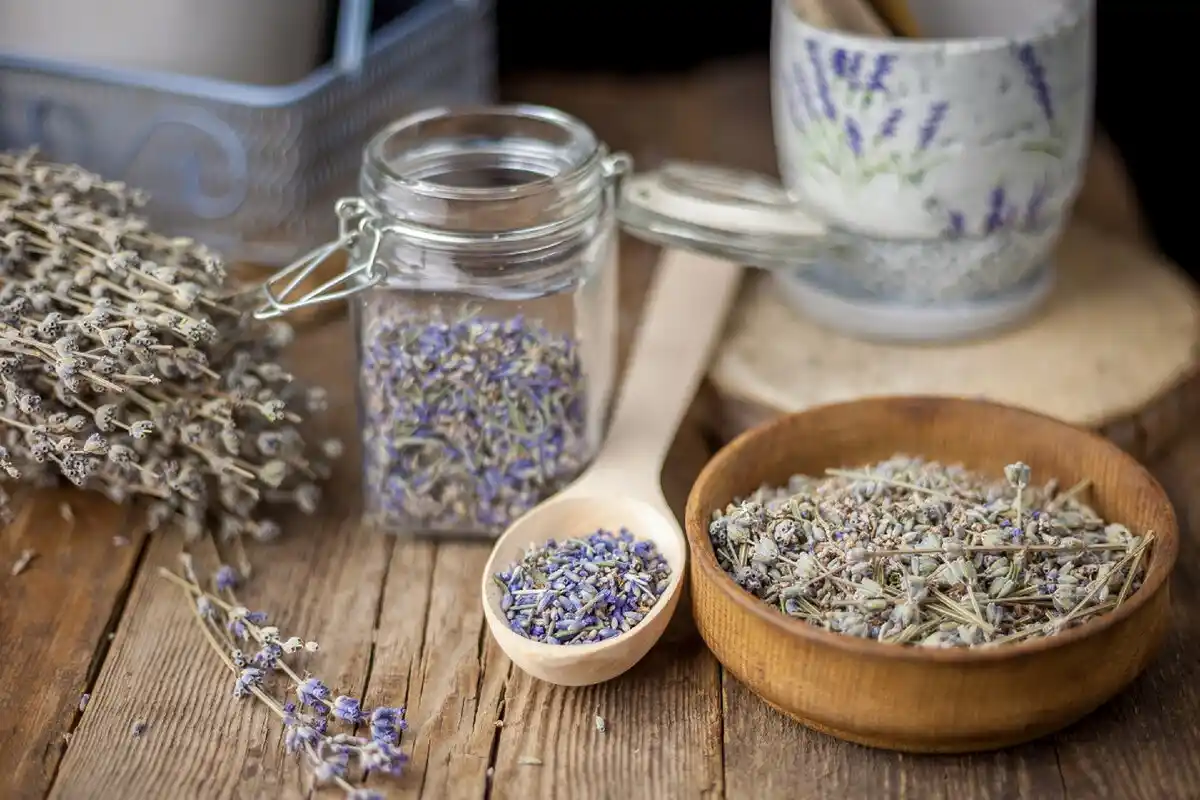 Näitä mausteita ja yrttejä pidät kotona runsauden houkuttelemiseksi – Feng Shuin mukaan