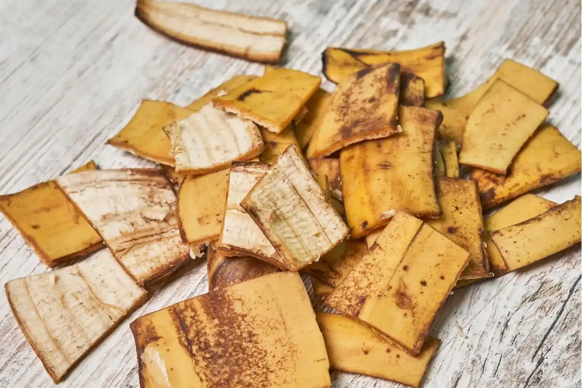 Kuinka hyödyntää banaaninkuoria kasvien lannoitteena