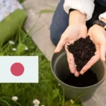 Näin valmistat japanilaisen kotikompostin, joka on vihreää kultaa kasveillesi