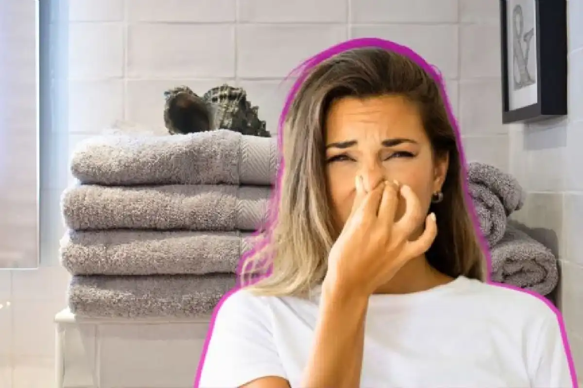 Sano hyvästit tuhkakupille: Tehokas ja hajuton tapa sammuttaa savukkeet