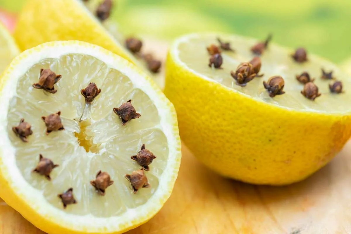 Poista hyttyset sateiden aikana kahdella keittiön ainesosalla kesällä 2025