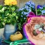 Kuinka elvyttää nuutuneita kasveja positiivisella energiapuhdistuksella