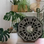 Paras paikka kasvien sijoittamiseen Feng Shuin mukaan: Houkuttele hyvää energiaa