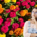 Mikä on kesällä kukkiva kasvi, joka houkuttelee pölyttäjiä ja on monille tuntematon?