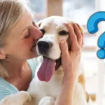 Mitä tarkoittaa, kun ihminen kohtelee koiraa kuin lastaan psykologian näkökulmasta