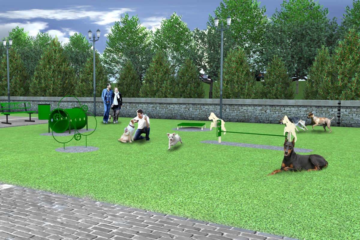 Mistä tietää, tunteeko koirasi itsensä yksinäiseksi? Tiede vastaa