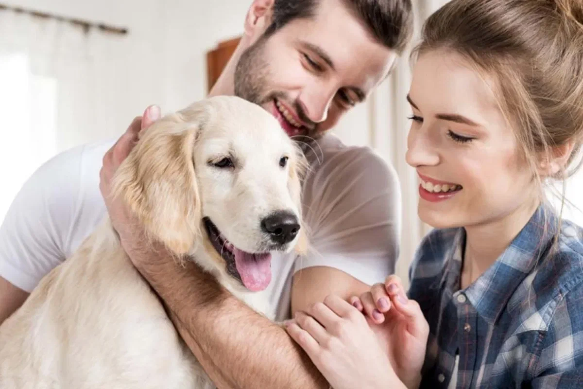 Mistä tietää, tunteeko koirasi itsensä yksinäiseksi? Tiede vastaa