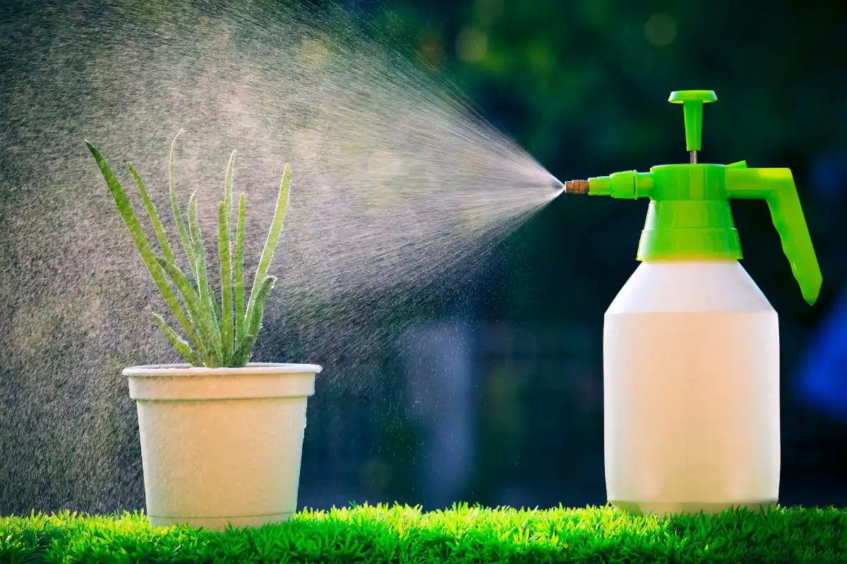 Ei munankuoria eikä soodaa: Näin teet kotitekoisen "vihreän kullan" lannoitteen kasveillesi