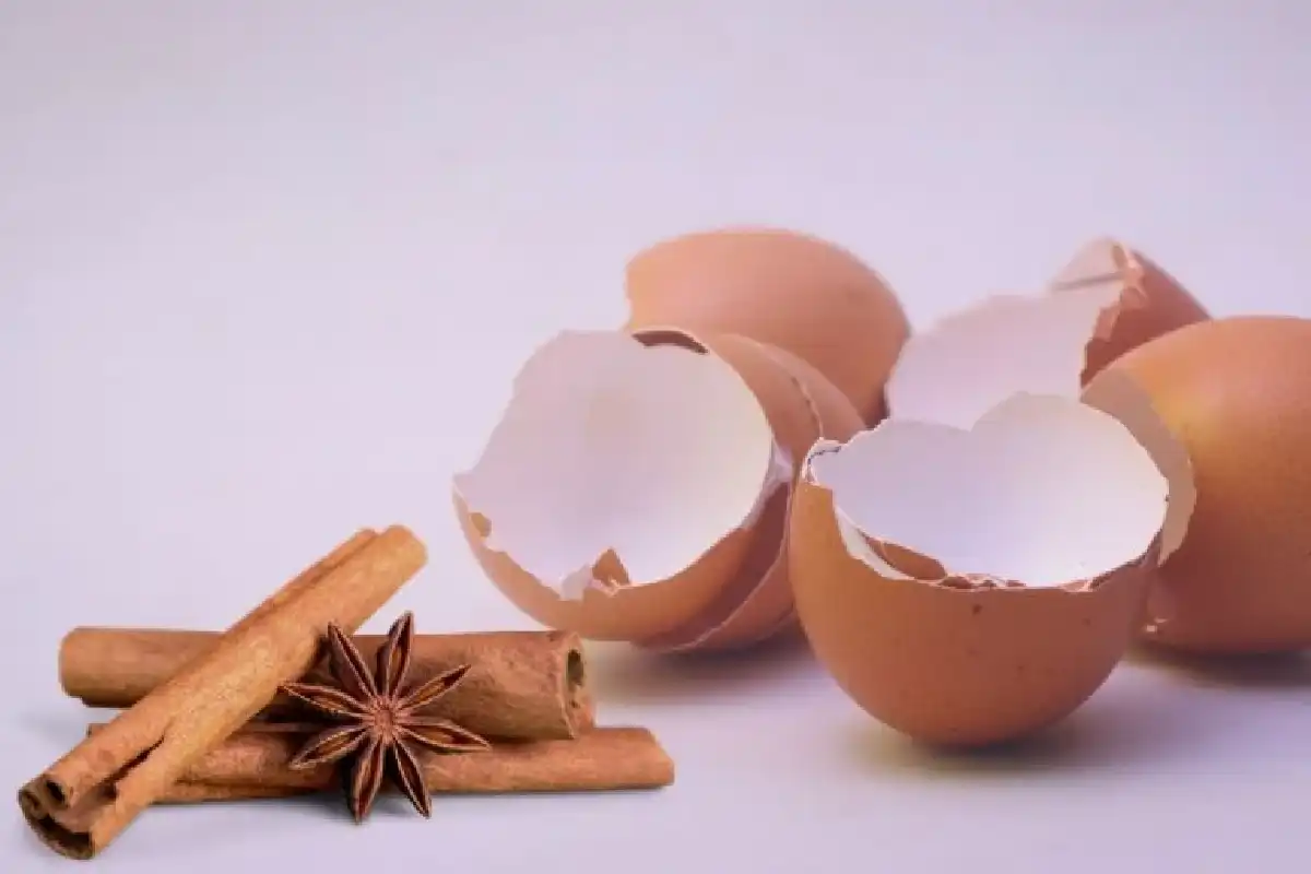 Kuinka saada kasvit kukkimaan runsaasti yksinkertaisella viiden ainesosan kotitekoisella lannoitteella