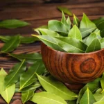 Kuinka käyttää laakerinlehtiä rahan ja yltäkylläisyyden houkuttelemiseen heinäkuun ensimmäisestä viikosta alkaen