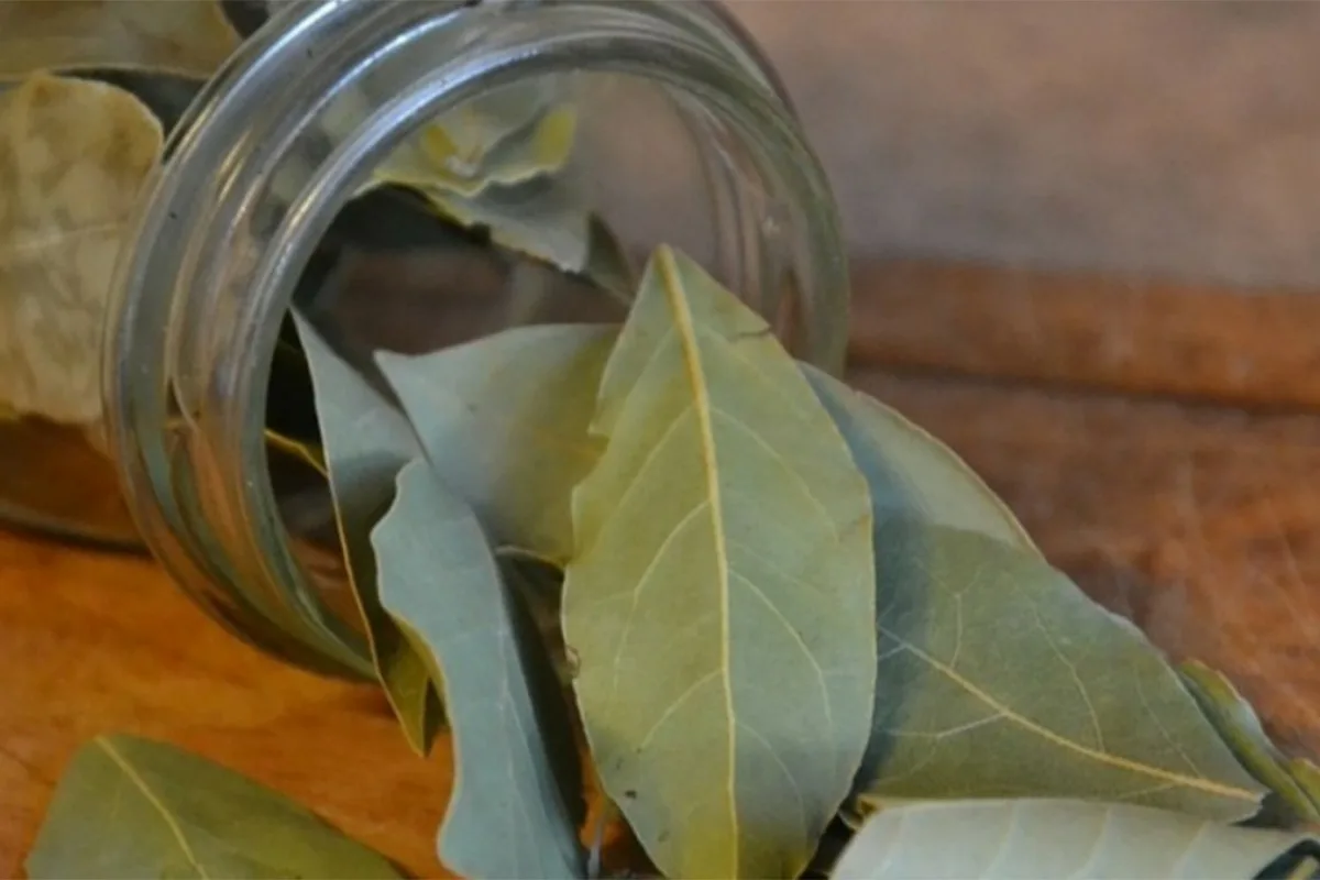 Löydä vauraus: Minne sijoittaa lasipurkki laakerinlehtiä Feng Shuin mukaan