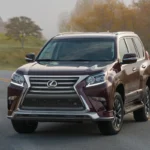 Erinomainen kestävyys: asiantuntijat suosittelevat luotettavaa japanilaista maasturia