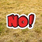 Vihreä nurmikko ilman uusimista: Näin korjaat ruskeat laikut, sammaleen ja rikkakasvit