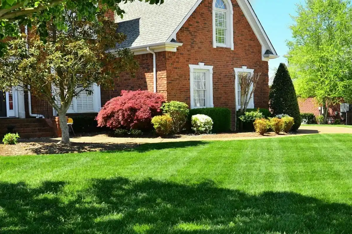 Vihreä nurmikko ilman uusimista: Näin korjaat ruskeat laikut, sammaleen ja rikkakasvit