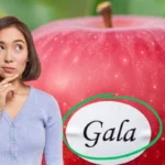 Ei koristetta eikä markkinointia: Mitä omenoiden tarrojen värit tarkoittavat?