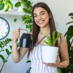 Paras aika kastella kasveja: Asiantuntijoiden suosittelema hetki terveiden kasvien kasvattamiseen