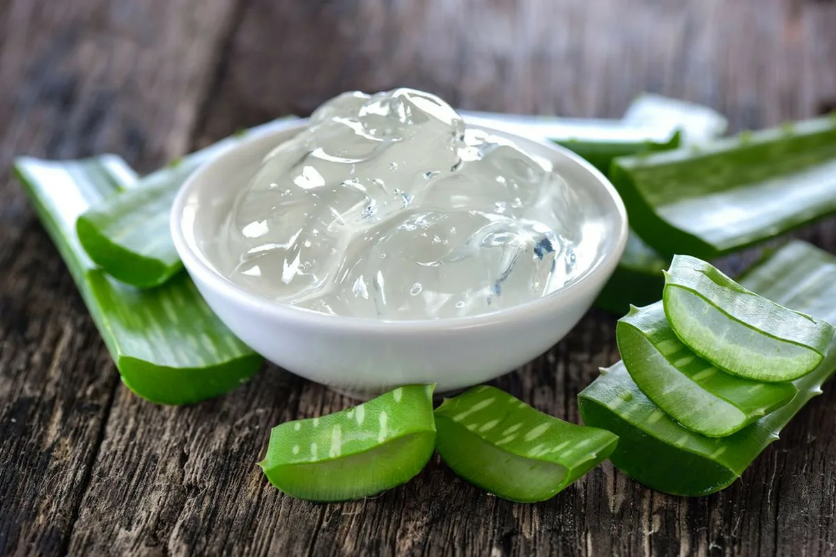 Lisää shampoohesi tämän lääkekasvin uute, ja pörröisyys katoaa ikuisesti