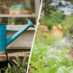 Paras ja huonoin aika kastella puutarhaa: Puutarhurit paljastavat yllättävän totuuden