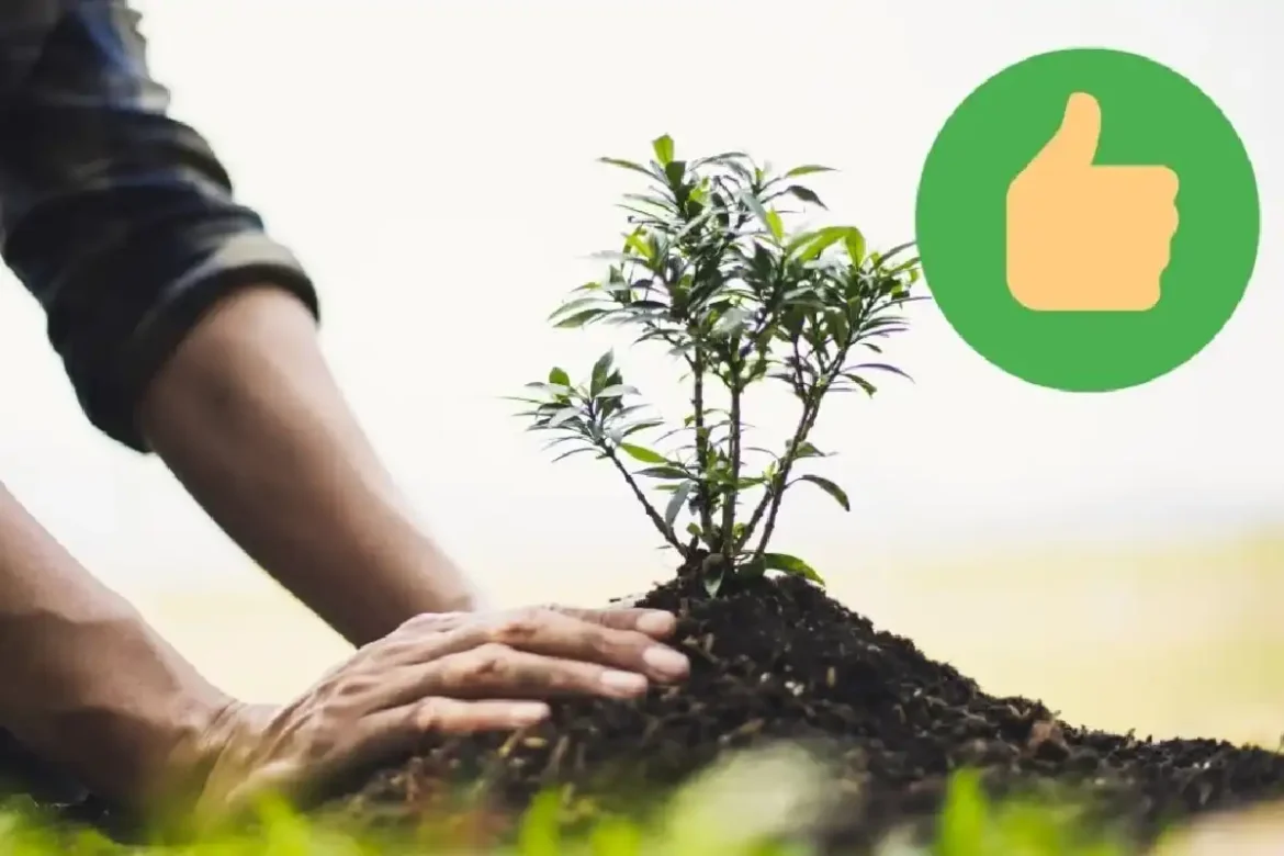 Elementti, joka suojaa puutarhasi uusia kasveja: Kierrätetty lapio merkintänä