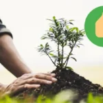 Elementti, joka suojaa puutarhasi uusia kasveja: Kierrätetty lapio merkintänä