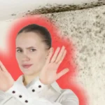 Estä homeen ja kosteuden muodostuminen seinille yksinkertaisella ja edullisella saksalaisella menetelmällä