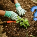 Siemenet eivät idä kotipuutarhassa? Näin korjaat tilanteen helposti