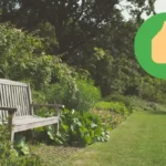 Ripottele teelusikallinen tätä ruokaa nurmikolle ja pidä se vihreänä koko kesän!