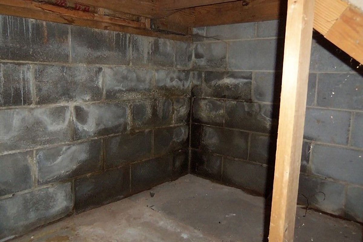 Kuinka poistaa suola ja kosteus seinistä ilman ammattilaisia: 2 keittiön ainesosaa riittää kesällä 2025