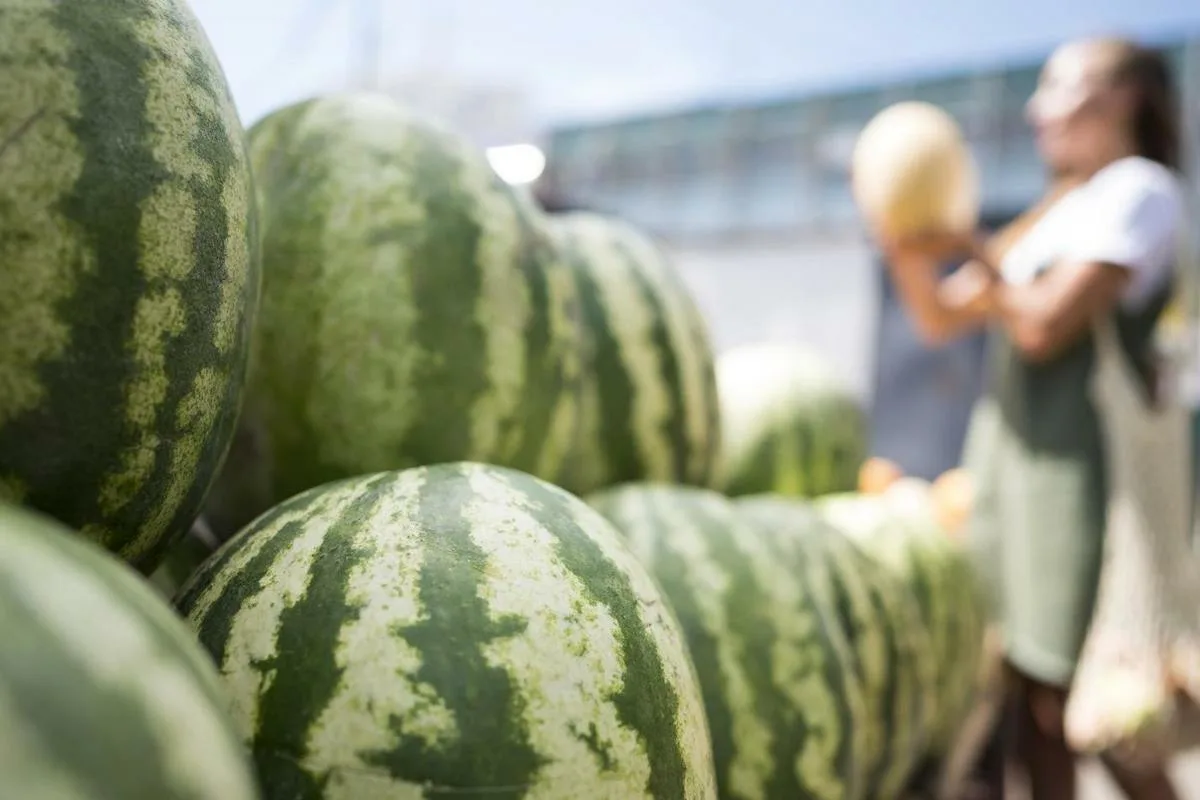 Kuinka valita täydellinen vesimeloni: 10 vinkkiä, jotka tekevät sinusta asiantuntijan