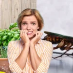 Sano hyvästit torakoille puutarhassasi näillä neljällä kasvilla