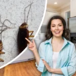 Yksi jääkaapin ainesosa: Näin karkotat torakat keittiöstäsi