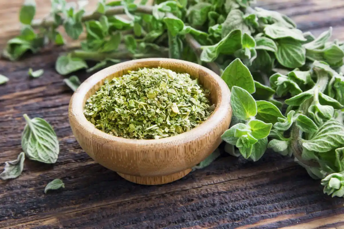 Oregano kodin siivouksessa: Torju torakat ja nauti raikkaasta kodista