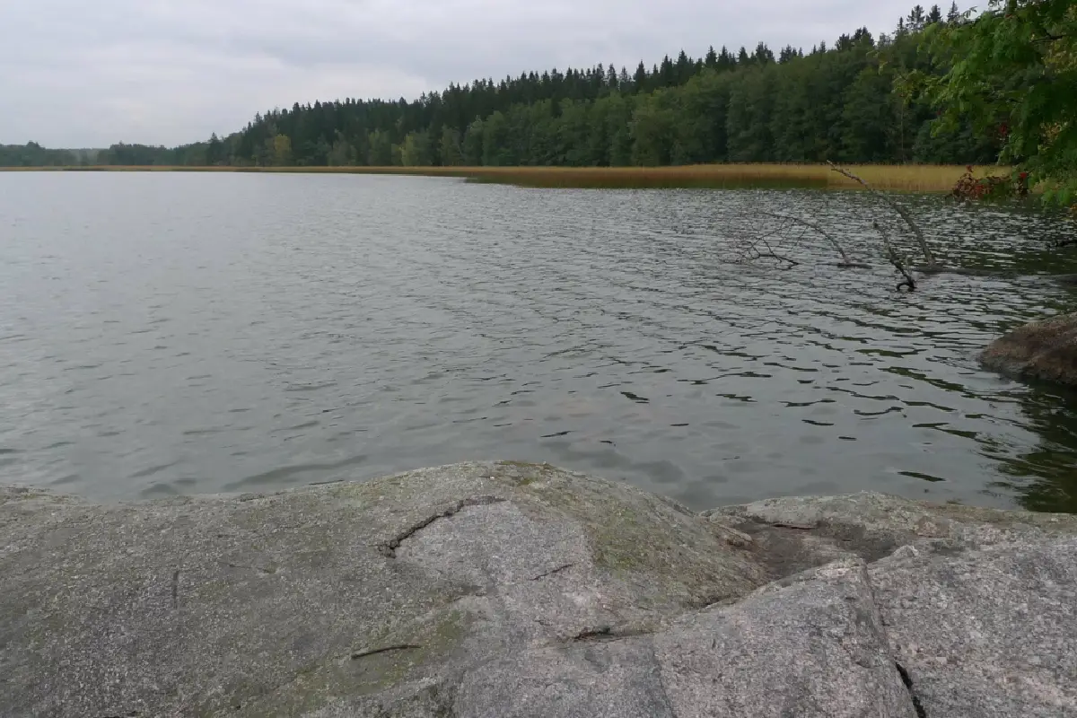 Bodominjärven murhien arvoitus: Pimeydestä nousevia opetuksia