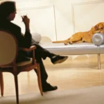 Eläinpsykologi: Kuinka ymmärtää lemmikkiäsi