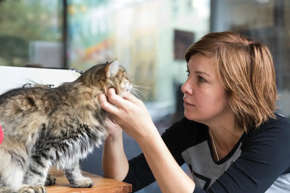 Eläinpsykologi: Kuinka ymmärtää lemmikkiäsi