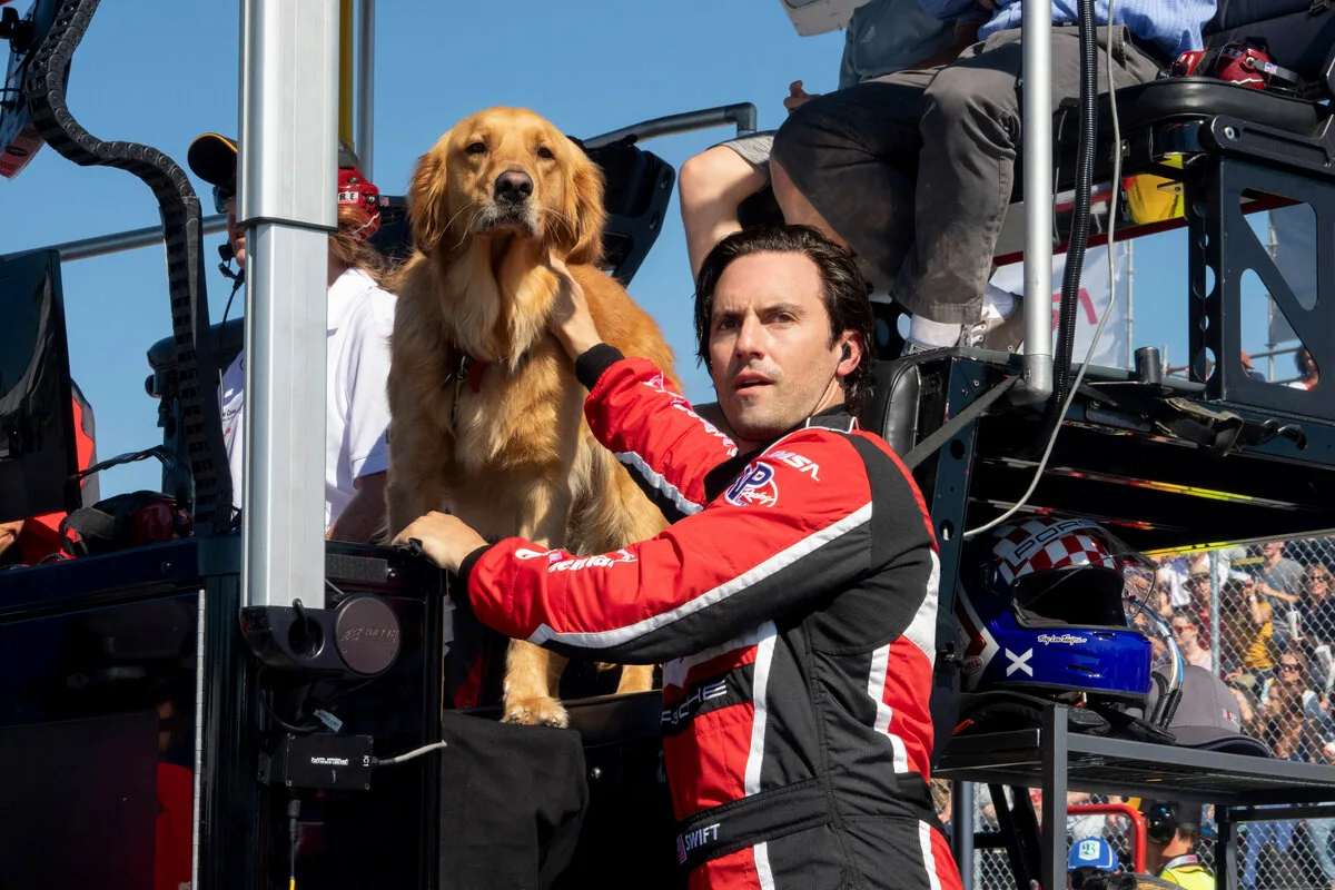 Koira ja elämä: Netflixin Ystäväni Enzo inspiroi ja koskettaa sydäntä