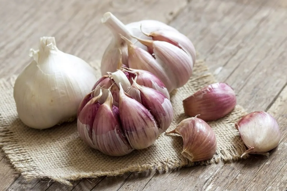 Keittiön ainesosa, joka elvyttää sansevieriasi vain 24 tunnissa