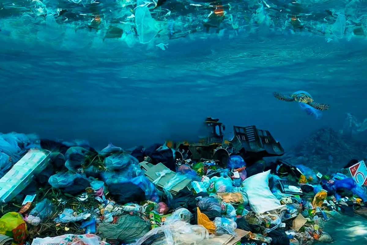 Kuinka suojella harvinaisia lajeja: Ekologien vinkit