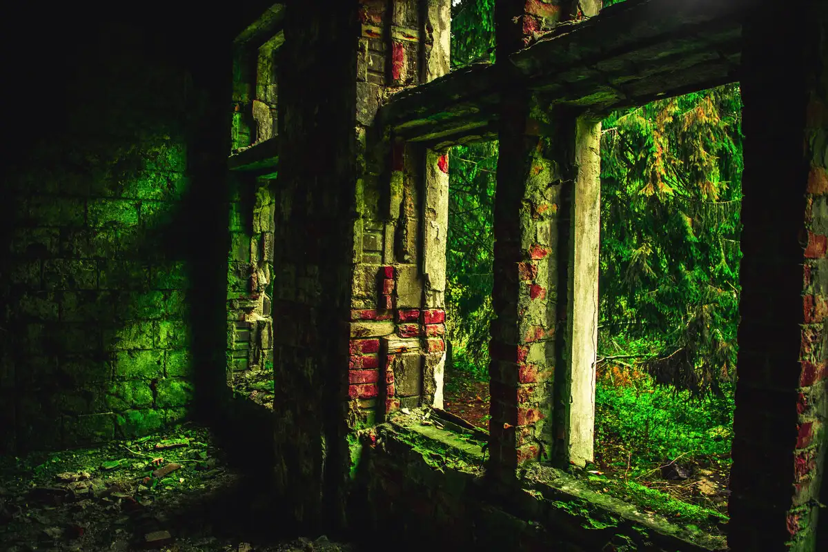 Hylättyjen paikkojen salaisuudet: mitä aika piilottaa