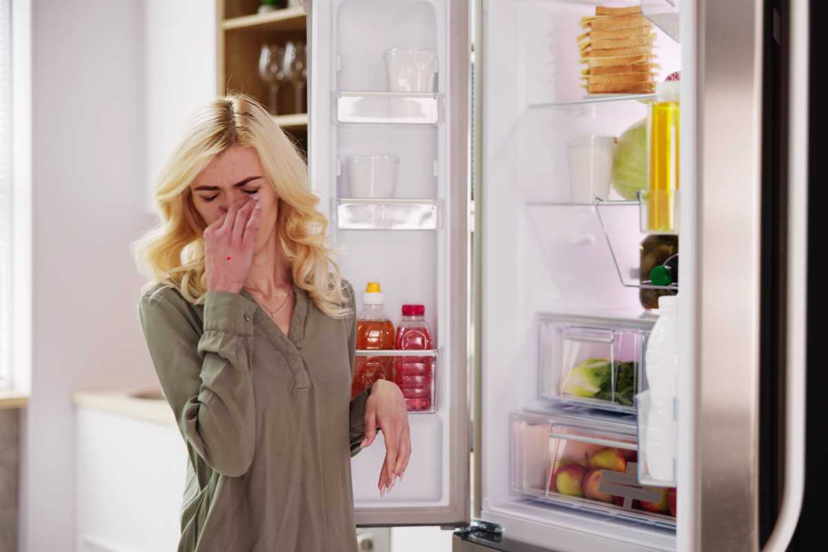 Kuinka poistaa jääkaapin ja pakastimen paha haju ilman kemikaaleja?